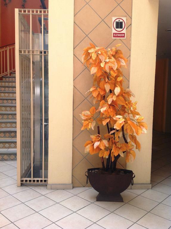 Plaza Jardin Hotel Tequila Exterior photo